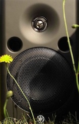 audio modules-monitor